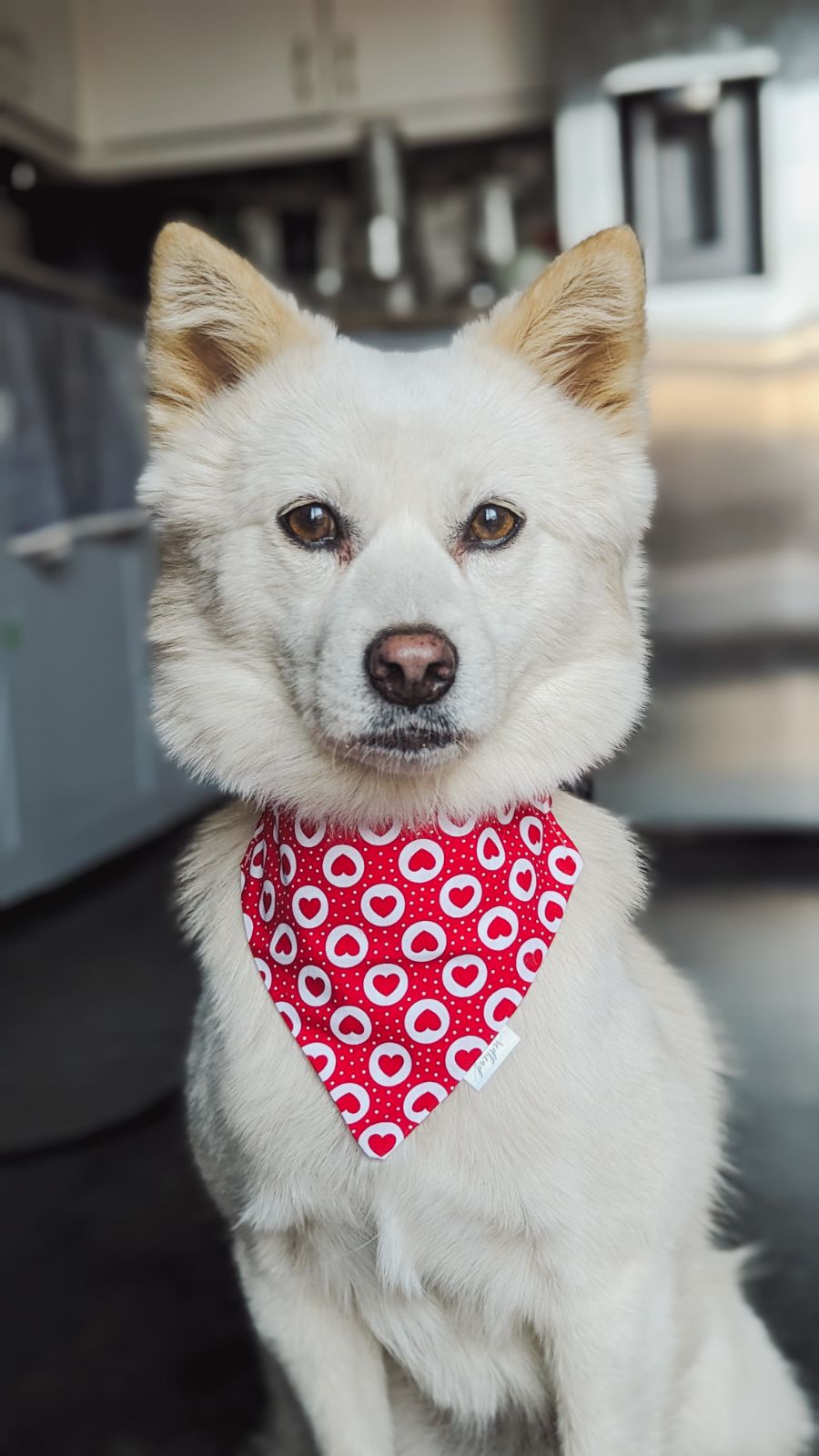 Red hearts