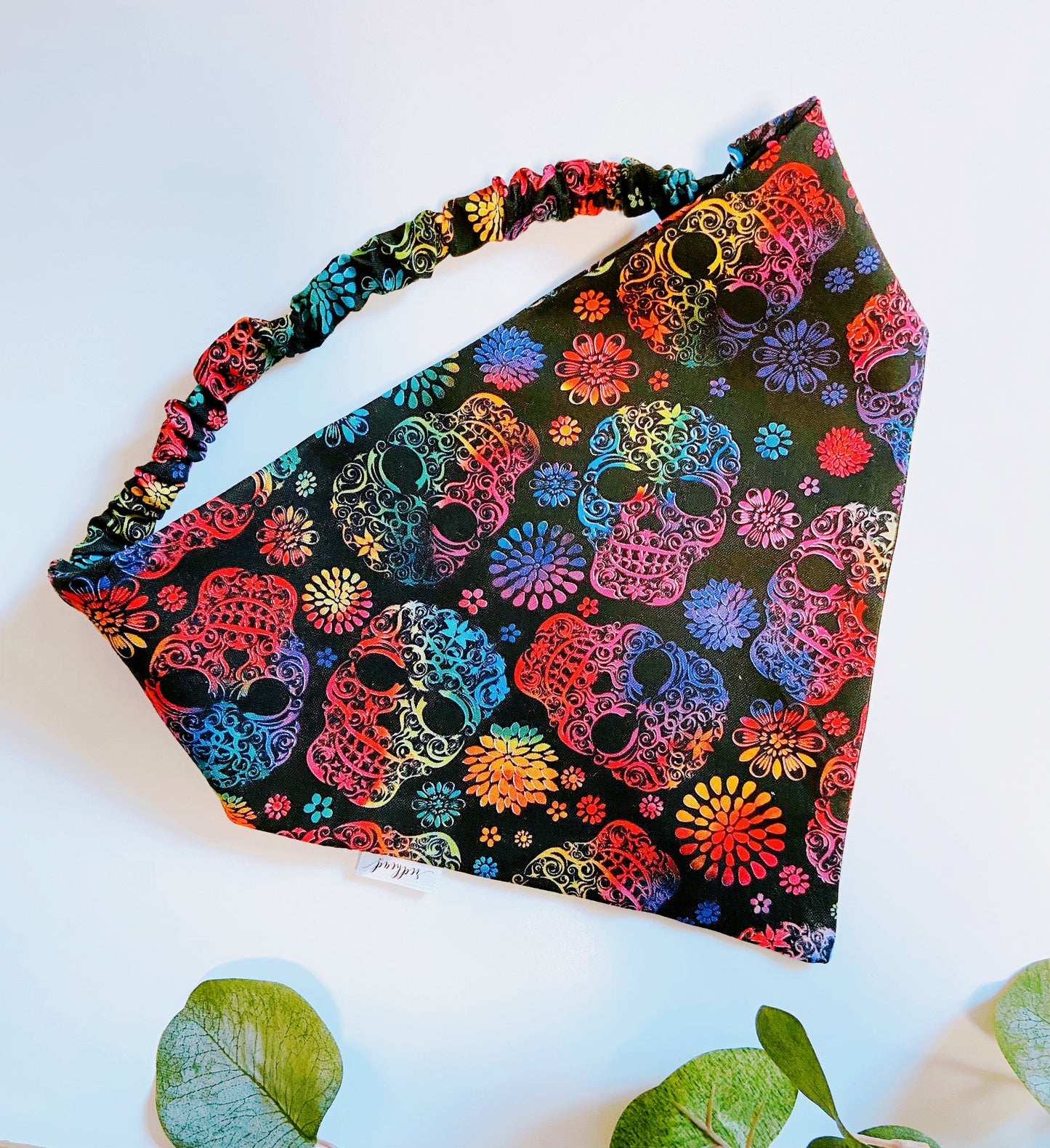Skulls Rainbow