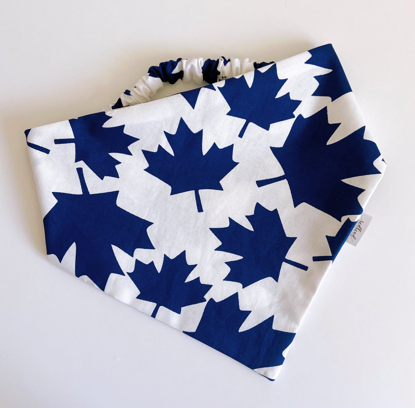 GO LEAFS GO