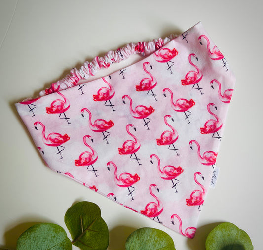 Pink Flamingos